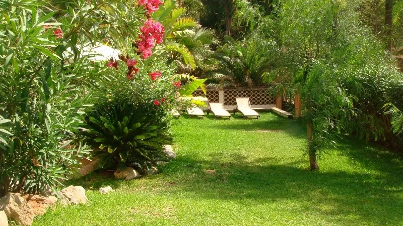 Villa in Costa de la Calma - Garden