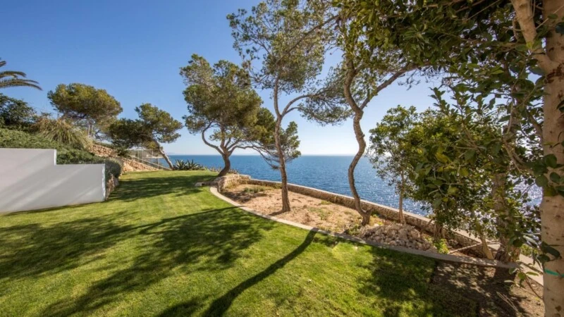 Villa in Mallorca - Garden