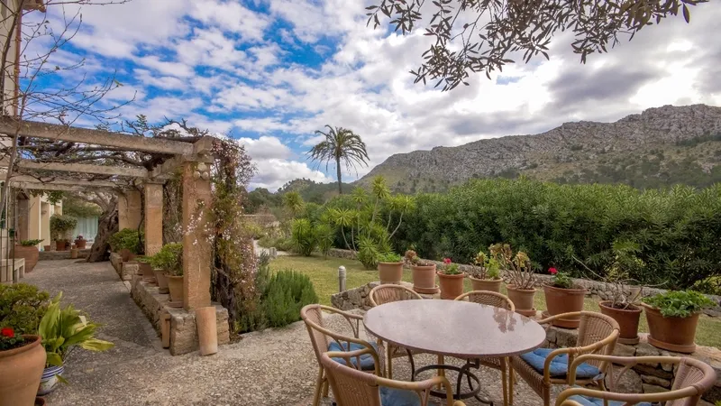 Finca in Cala Sant Vicenç - Property view