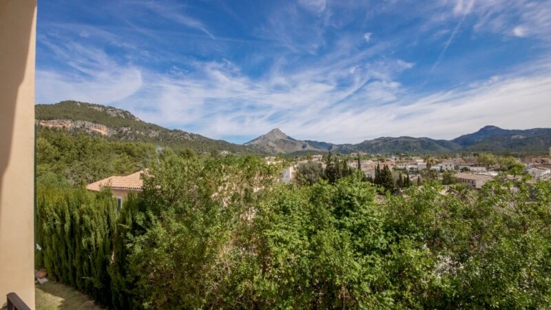 Detached Villa in Capdellà - View from upper terrace2jpg
