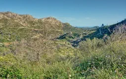 Finca in Andratx Village - Exteriores-11