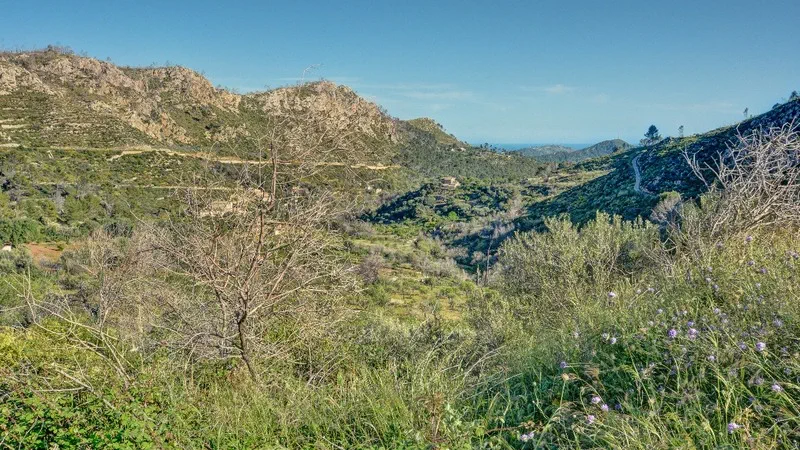 Finca in Andratx Village - Exteriores-11