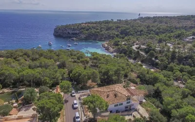 Bar and Restaurant in Portals Vells - Aerial1