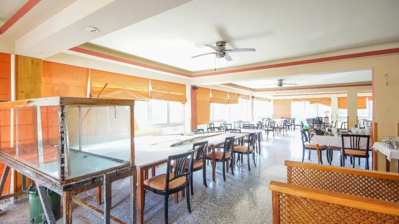 Bar and Restaurant in Portals Vells - Saloon 1