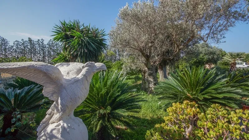 Villa in Son Sardina - Garden (2)