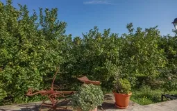 Villa in Son Sardina - Garden