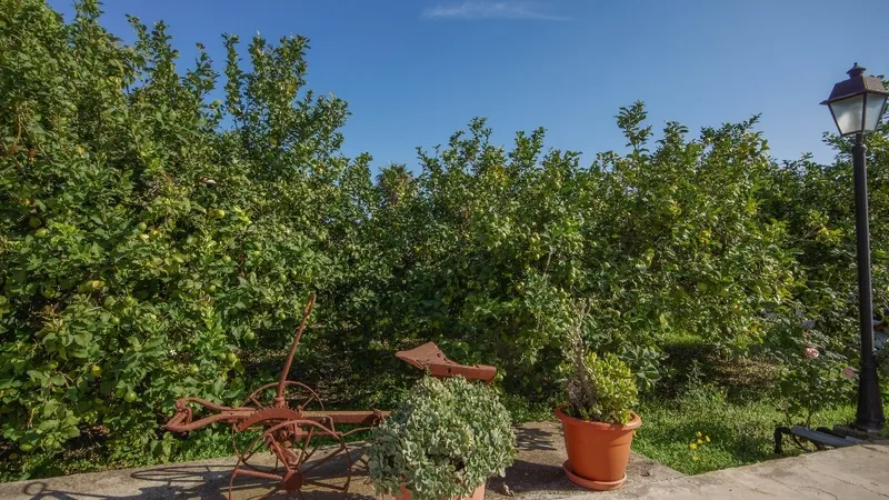 Villa in Son Sardina - Garden