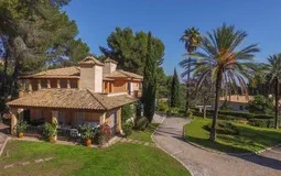 Villa in Son Vida - AERIAL1