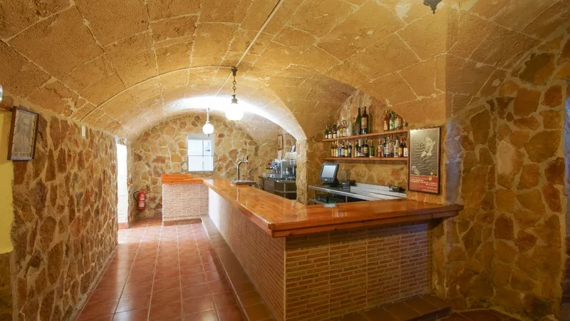 Finca in Son Ferriol - BAR
