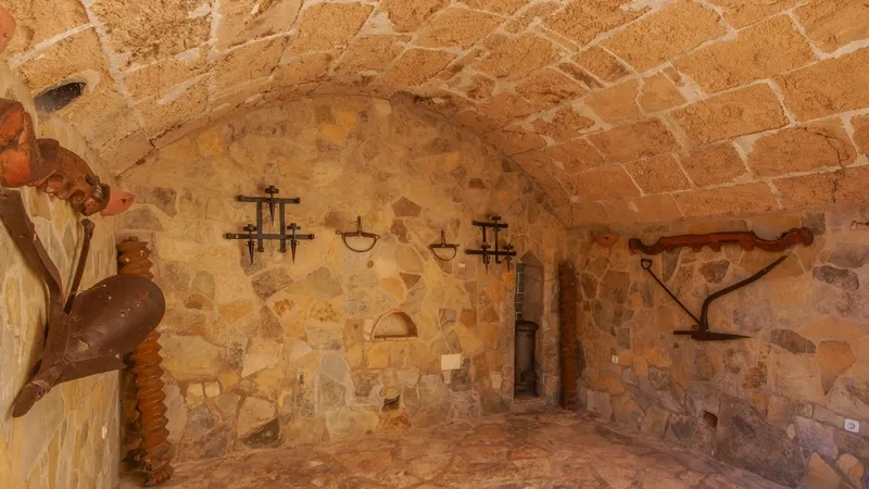 Finca in Son Ferriol - DETAILS