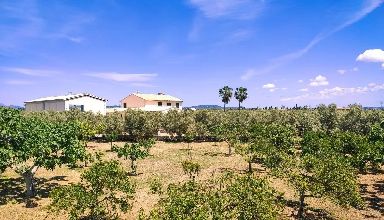 Finca in Marratxí - WhatsApp Image 2021-05-09 at 14.23.535