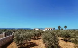 Finca in Marratxí - WhatsApp Image 2021-05-09 at 14.23.5416