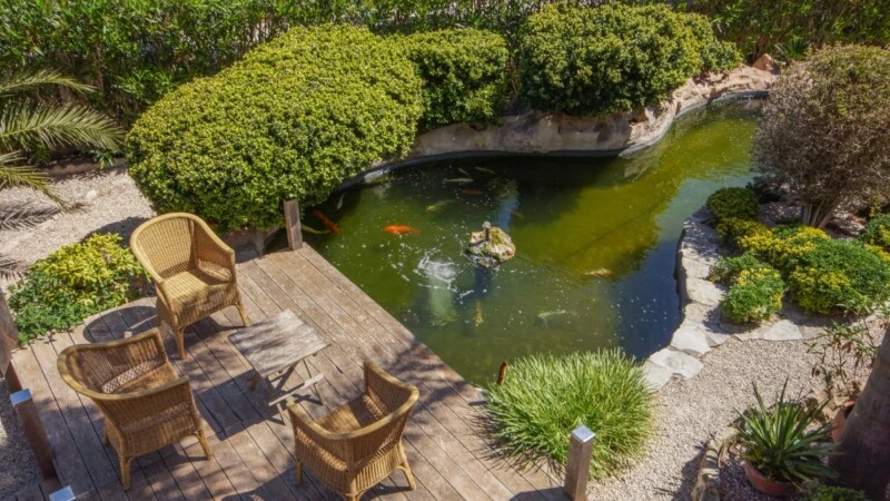 Villa in El Toro - Port Adriano - Fountain