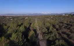 Plot in Sa Cabaneta - 1