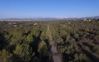 Plot in Sa Cabaneta - 1