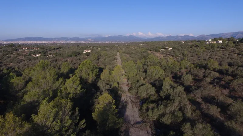 Plot in Sa Cabaneta - 1