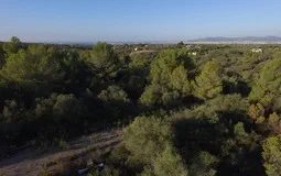 Plot in Sa Cabaneta - 2