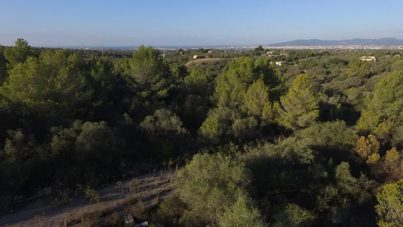 Plot in Sa Cabaneta - 2