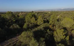 Plot in Sa Cabaneta - 3