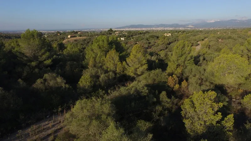 Plot in Sa Cabaneta - 3