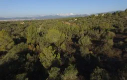 Plot in Sa Cabaneta - 4
