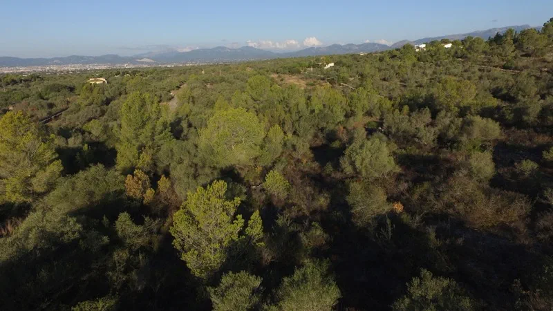 Plot in Sa Cabaneta - 4