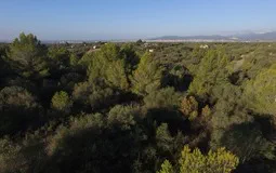 Plot in Sa Cabaneta - 5
