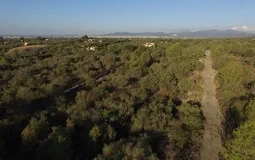 Plot in Sa Cabaneta - 6