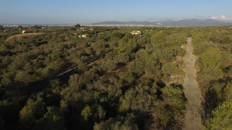 Plot in Sa Cabaneta - 6