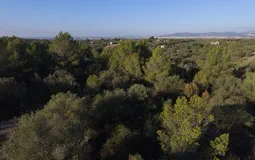 Plot in Sa Cabaneta - 7