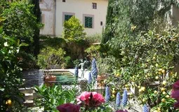 Villa in Sóller - DSCF6186