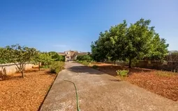 Villa in Son Gual - Garden and building view