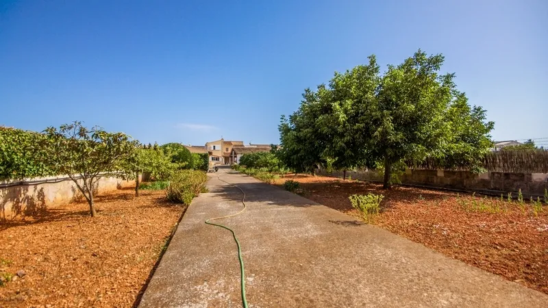 Villa in Son Gual - Garden and building view