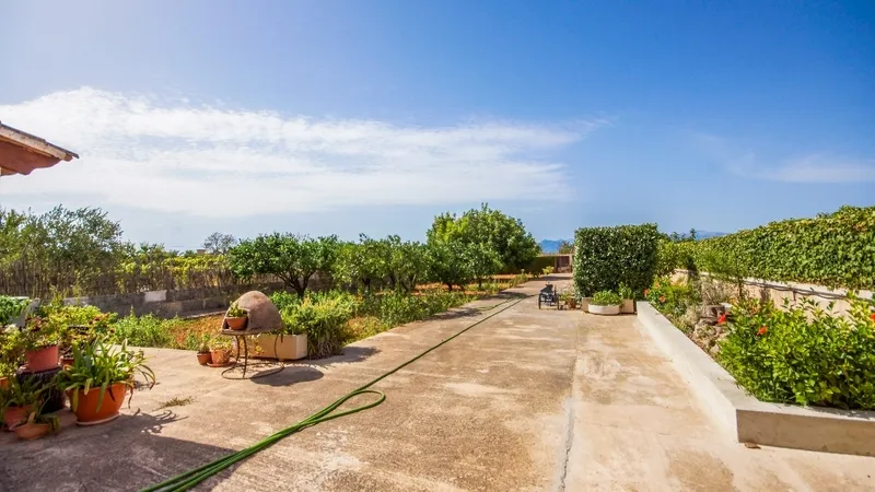 Villa in Son Gual - Garden