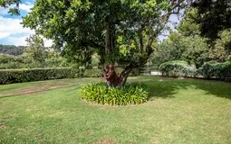 Penthouse in Bendinat - Garden (2)