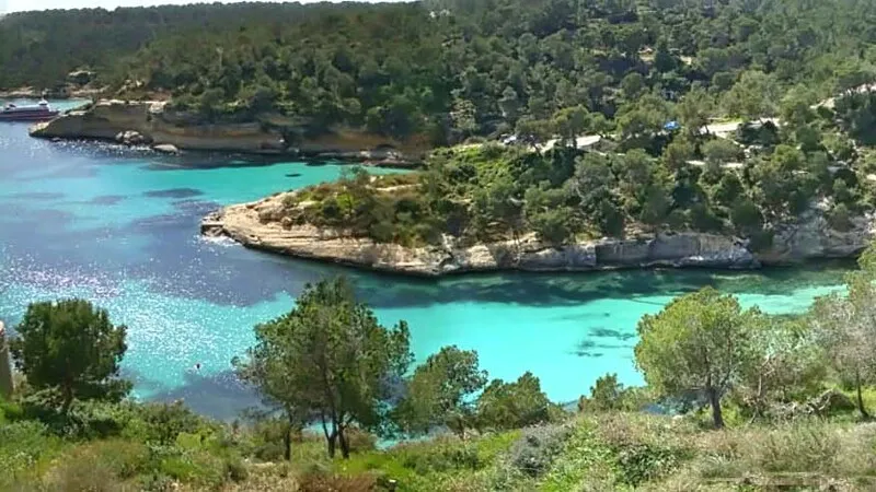 Building Plot in Portals Vells - View