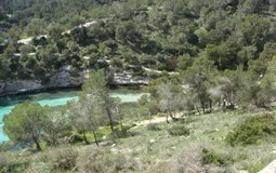 Building Plot in Portals Vells - DSC03514