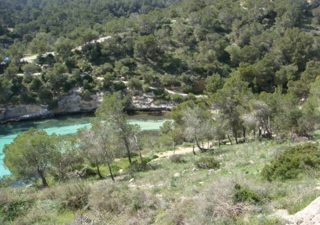Building Plot in Portals Vells - DSC03514