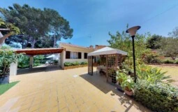 Villa in El Toro - Port Adriano - Spacious garden