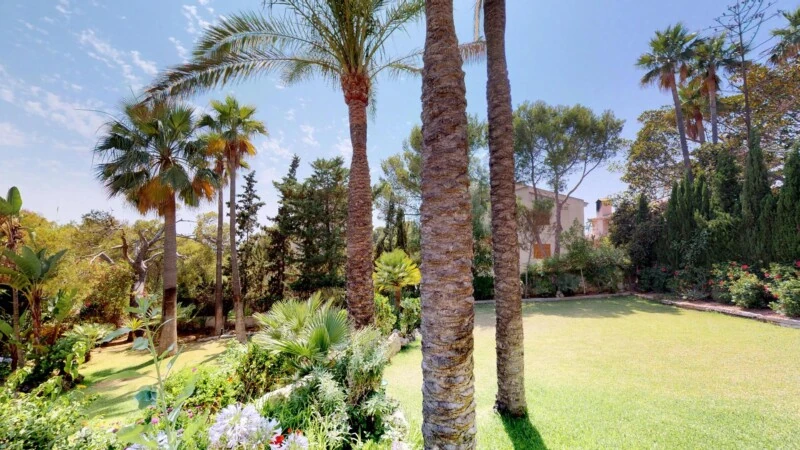 Villa in Santa Ponsa - Garden