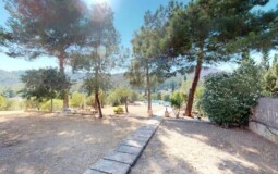 Finca in Palma de Mallorca - Level grounds
