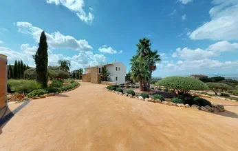 Finca in Son Gual - Driveway