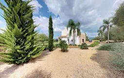 Finca in Son Gual - Private grounds