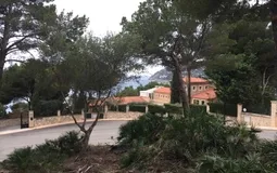 Plot in Canyamel - PLOT