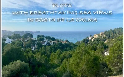 Plot in Costa de la Calma - Views