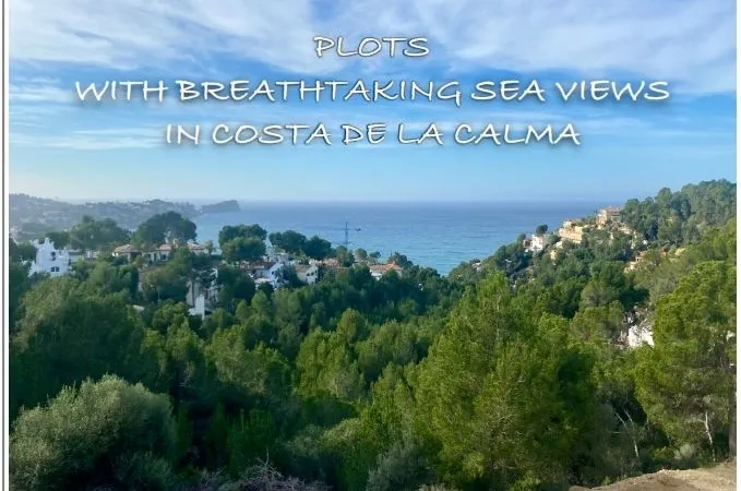 Plot in Costa de la Calma - Views