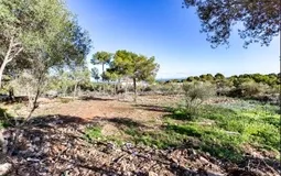 Plot in Sol de Mallorca - Screenshot_4