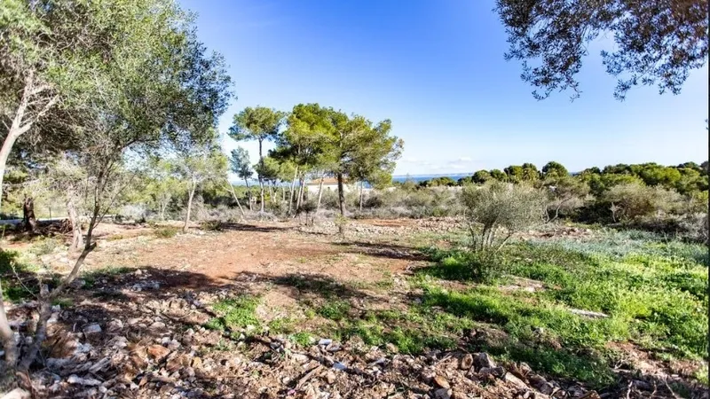 Plot in Sol de Mallorca - Screenshot_4