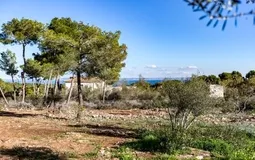 Plot in Sol de Mallorca - Screenshot_3