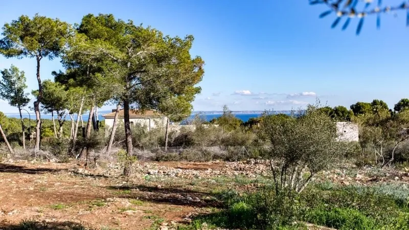 Plot in Sol de Mallorca - Screenshot_3